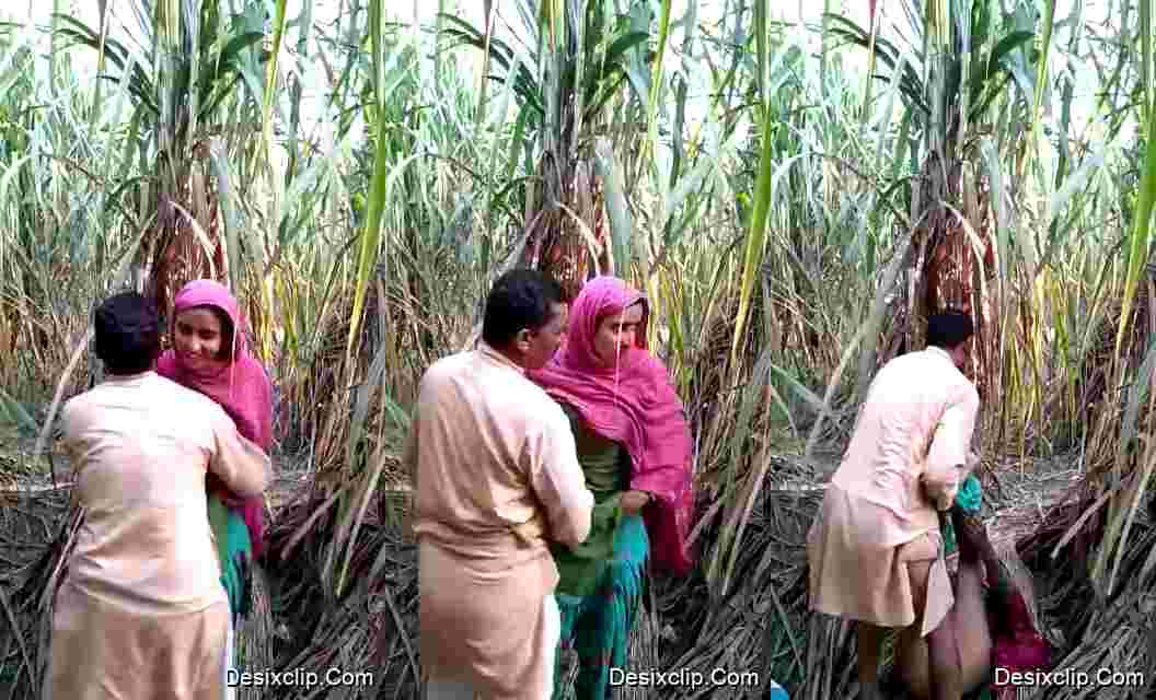 Muslim Uncle Fucking Young desi Girl in Jungle HD Video